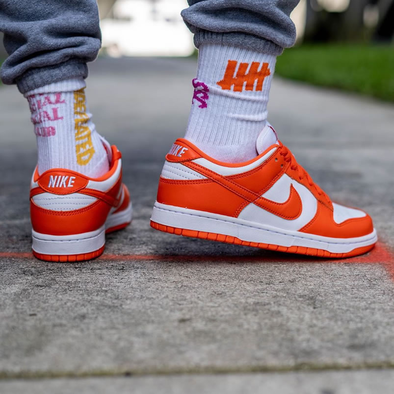 Nike Sb Dunk Low Sp Syracuse Orange Blaze Cu1726 101 On Feet (5) - www.newkick.vip Nike Sb Dunk Low Sp Syracuse Orange Blaze Cu1726 101 On Feet (5) - www.newkick.vip
