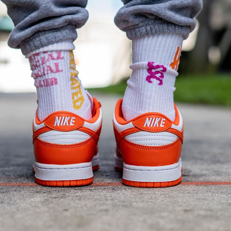 Nike Sb Dunk Low Sp Syracuse Orange Blaze Cu1726 101 On Feet (8) - www.newkick.vip Nike Sb Dunk Low Sp Syracuse Orange Blaze Cu1726 101 On Feet (8) - www.newkick.vip