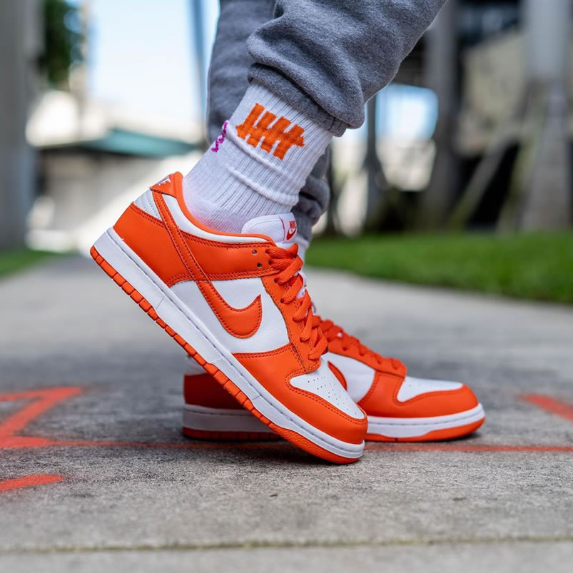 Nike Sb Dunk Low Sp Syracuse Orange Blaze Cu1726 101 On Feet (1) - www.newkick.vip