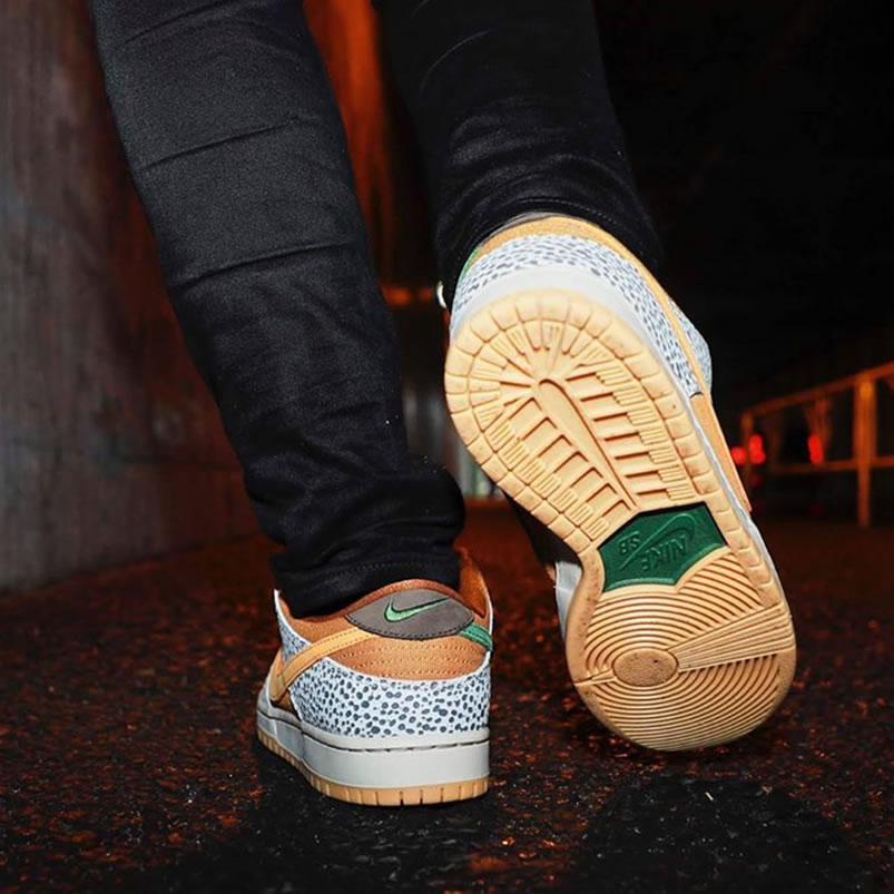 Nike Sb Dunk Low Safari On Feet Cd2563 002 (2) - www.newkick.vip