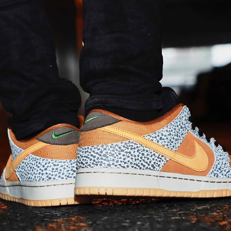 Nike Sb Dunk Low Safari On Feet Cd2563 002 (3) - www.newkick.vip