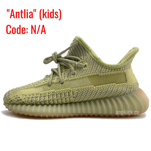 Kids Antlia - www.newkick.vip Kids Antlia - www.newkick.vip