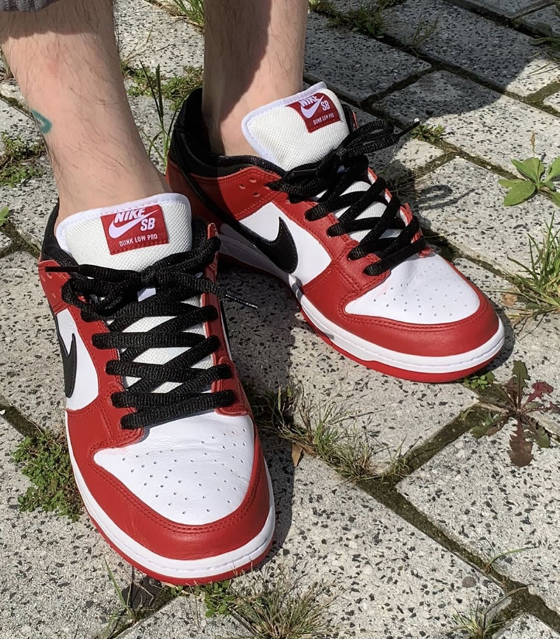 Nike Sb Dunk Low Pro Chicago Varsity Red Release Date On Feet Bq6817 600 (7) - www.newkick.vip