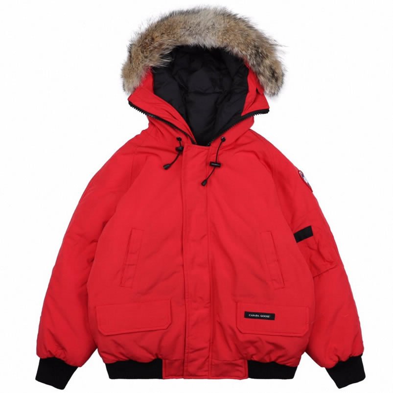 01 Canada Goose 19fw Pbi Chilliwack 7999mpb Down Jacket Coat Red (1) - www.newkick.vip 01 Canada Goose 19fw Pbi Chilliwack 7999mpb Down Jacket Coat Red (1) - www.newkick.vip