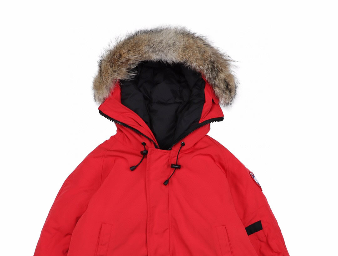01 Canada Goose 19fw Pbi Chilliwack 7999mpb Down Jacket Coat Red (3) - www.newkick.vip