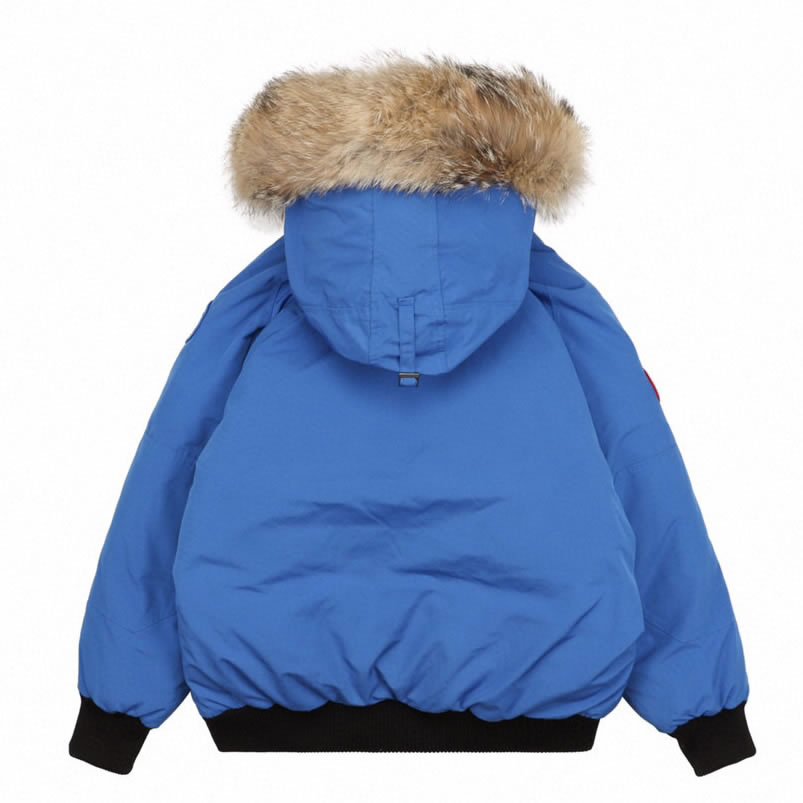 01 Canada Goose 19fw Pbi Chilliwack 7999mpb Down Jacket Coat Sky Blue (2) - www.newkick.vip