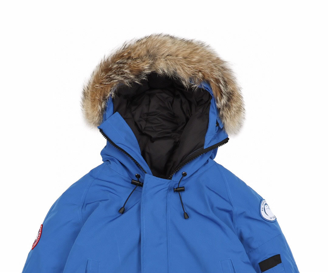 01 Canada Goose 19fw Pbi Chilliwack 7999mpb Down Jacket Coat Sky Blue (3) - www.newkick.vip