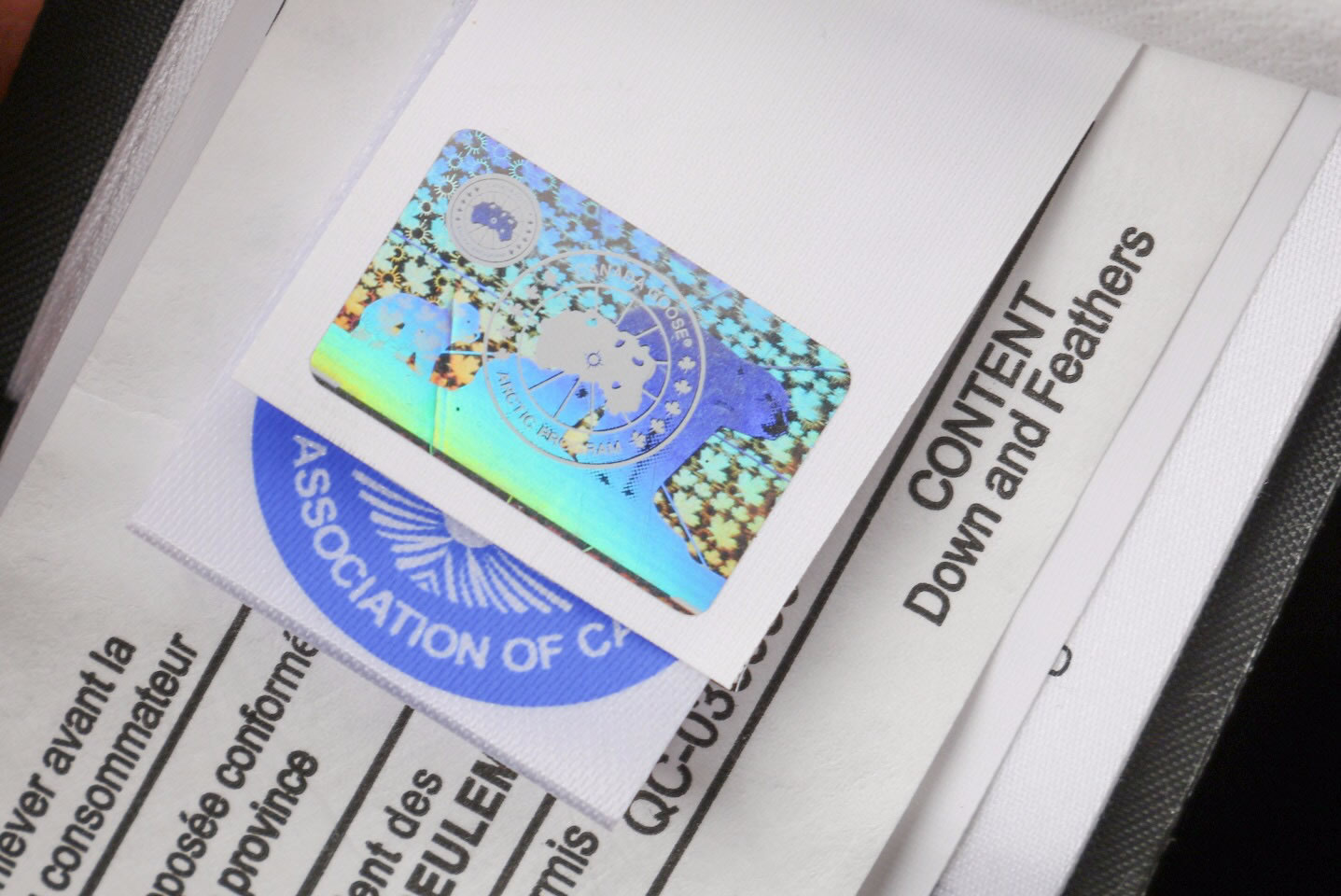 08 Canada Goose 19fw Expedition 4660ma Down Jacket Coat Cream White (8) - www.newkick.vip