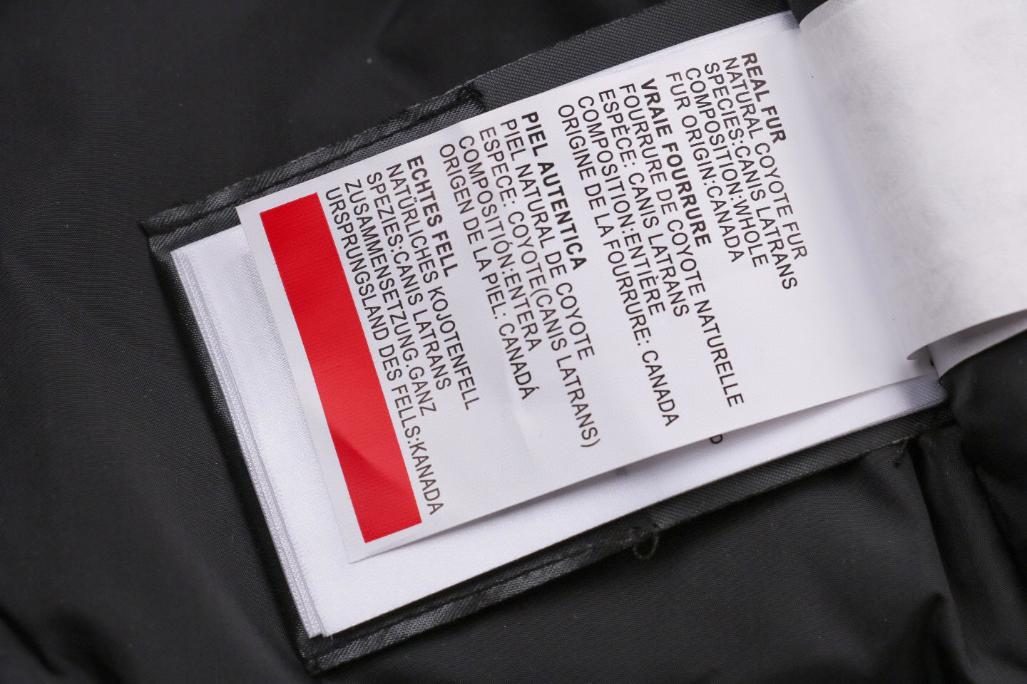 08 Canada Goose 19fw Expedition 4660ma Down Jacket Coat Cyan (5) - www.newkick.vip