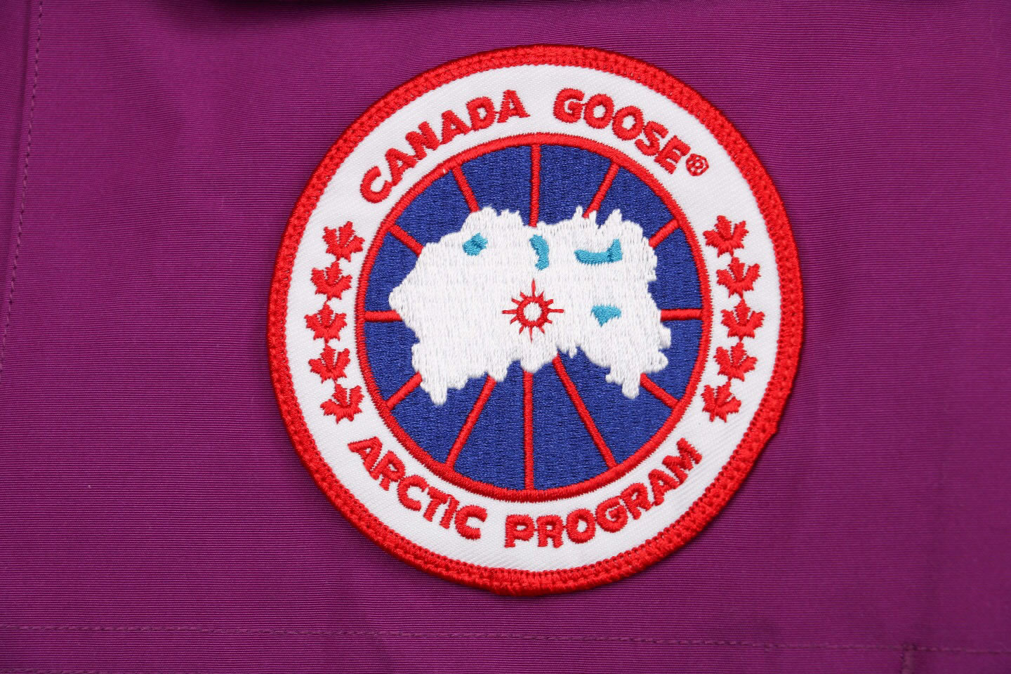 08 Canada Goose 19fw Expedition 4660ma Down Jacket Coat Purple (5) - www.newkick.vip