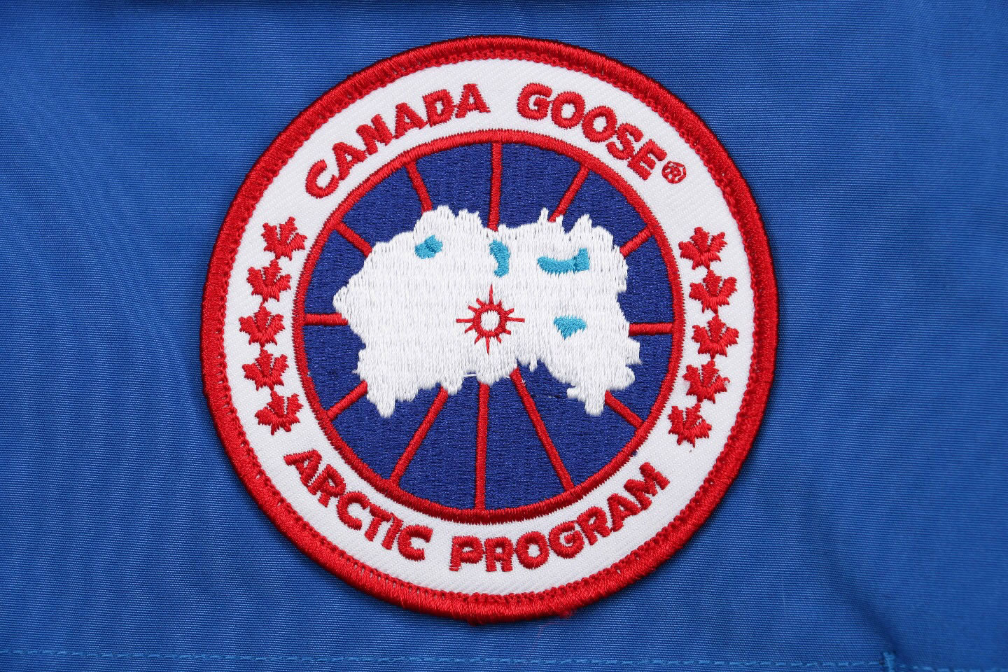 08 Canada Goose 19fw Expedition 4660ma Down Jacket Coat Sky Blue (6) - www.newkick.vip