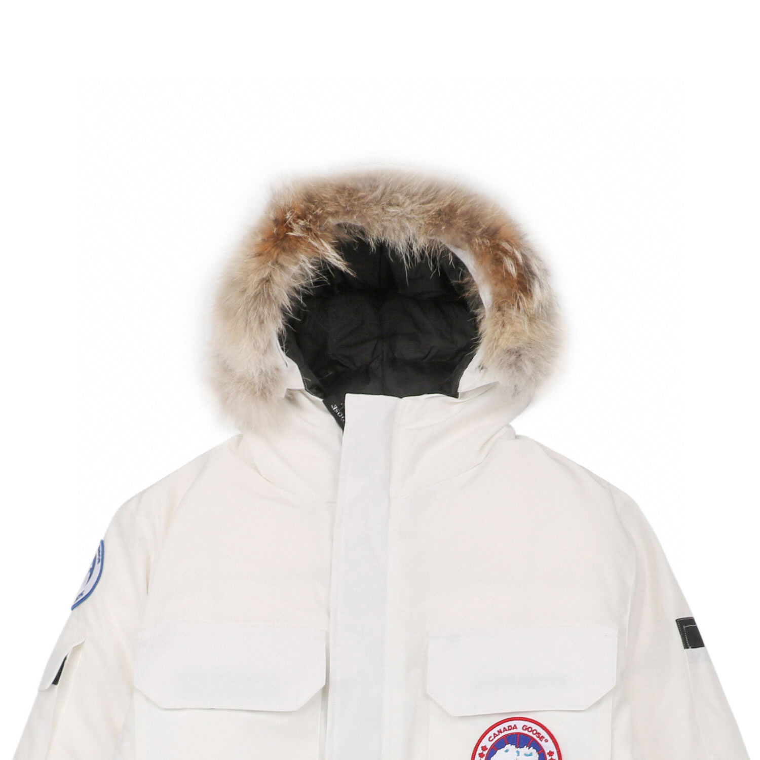 08 Canada Goose 19fw Expedition 4660ma Down Jacket Coat White (5) - www.newkick.vip