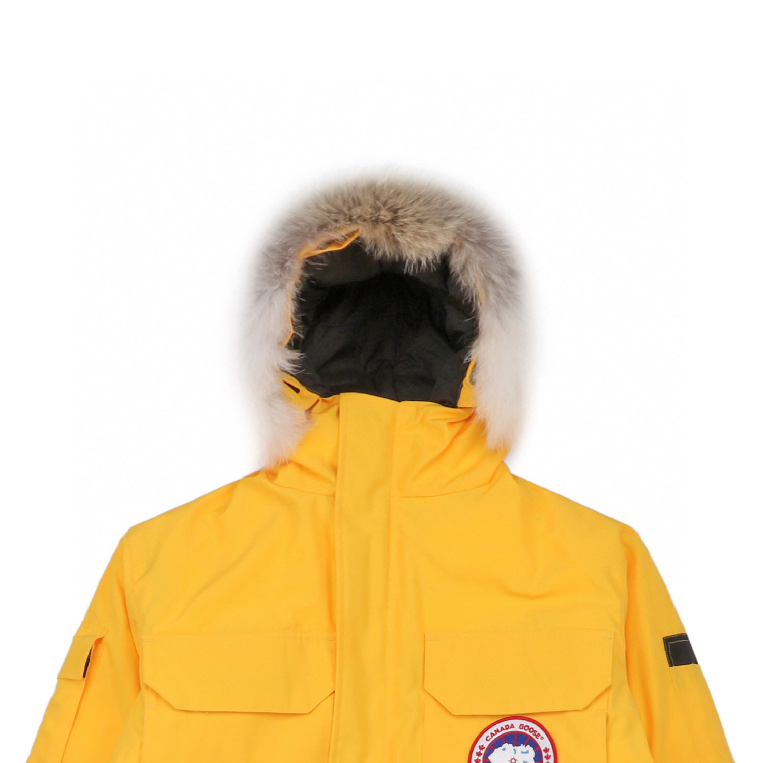 08 Canada Goose 19fw Expedition 4660ma Down Jacket Coat Yellow (4) - www.newkick.vip