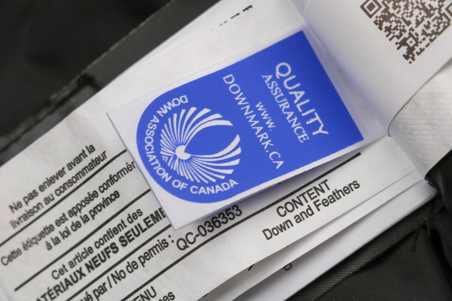 08 Canada Goose 19fw Expedition 4660ma Down Jacket Coat Yellow (5) - www.newkick.vip