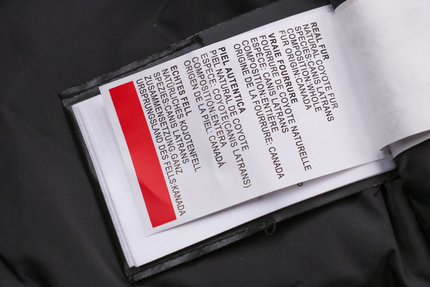 08 Canada Goose 19fw Expedition 4660ma Down Jacket Coat Yellow (6) - www.newkick.vip