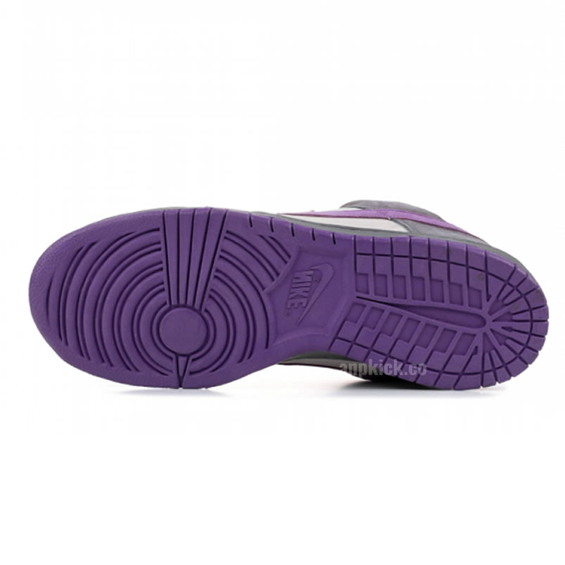 Nike Dunk Sb Low Purple Pigeon 304292 051 (5) - www.newkick.vip