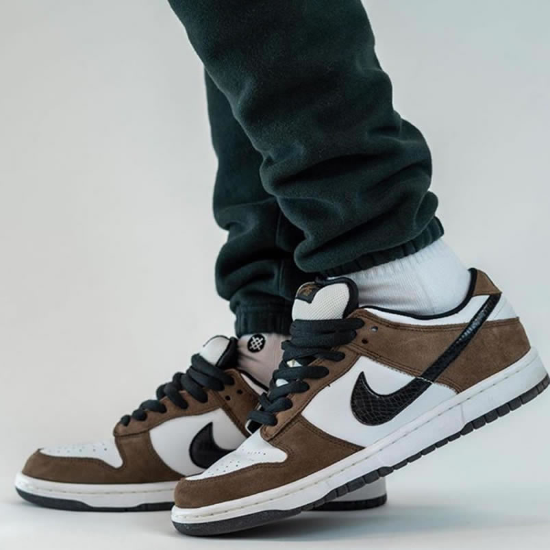 Nike Sb Dunk Low Trail End Brown Black White On Feet 304292 102 (3) - www.newkick.vip