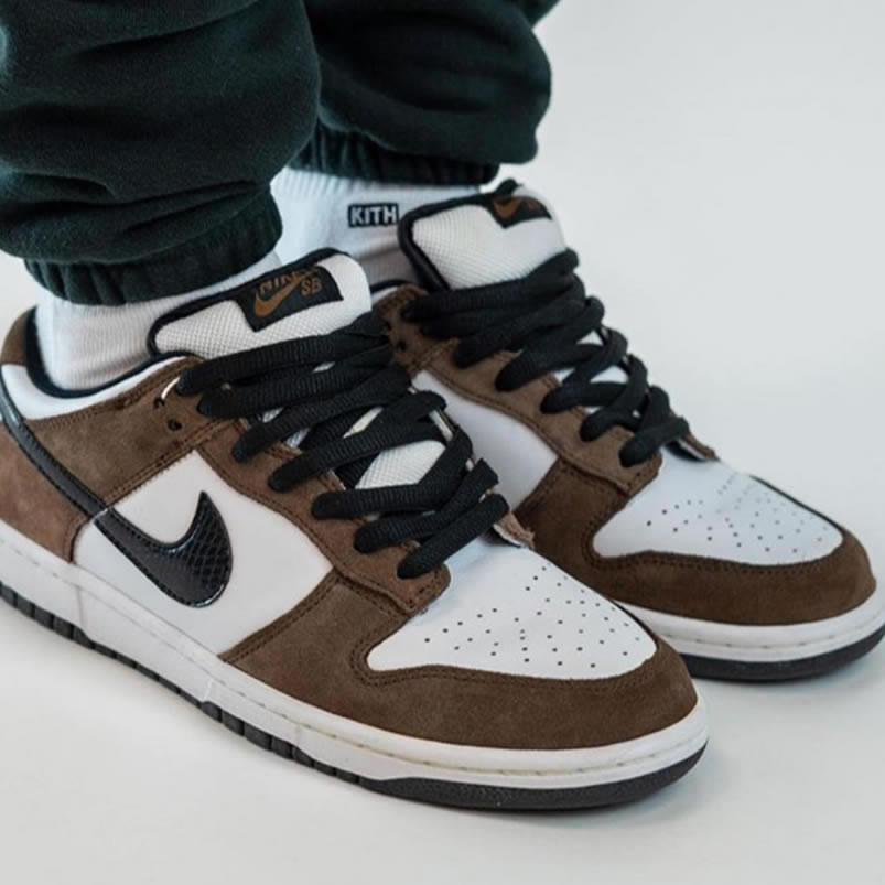 Nike Sb Dunk Low Trail End Brown Black White On Feet 304292 102 (1) - www.newkick.vip
