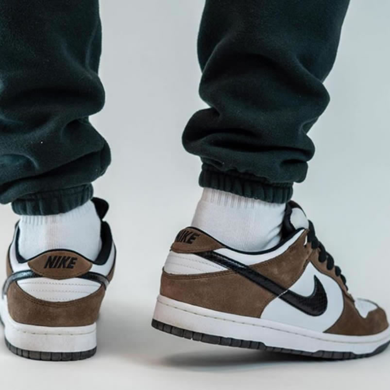 Nike Sb Dunk Low Trail End Brown Black White On Feet 304292 102 (2) - www.newkick.vip