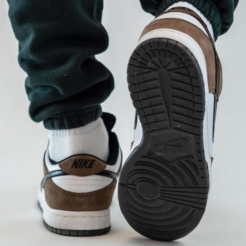 Nike Sb Dunk Low Trail End Brown Black White On Feet 304292 102 (4) - www.newkick.vip