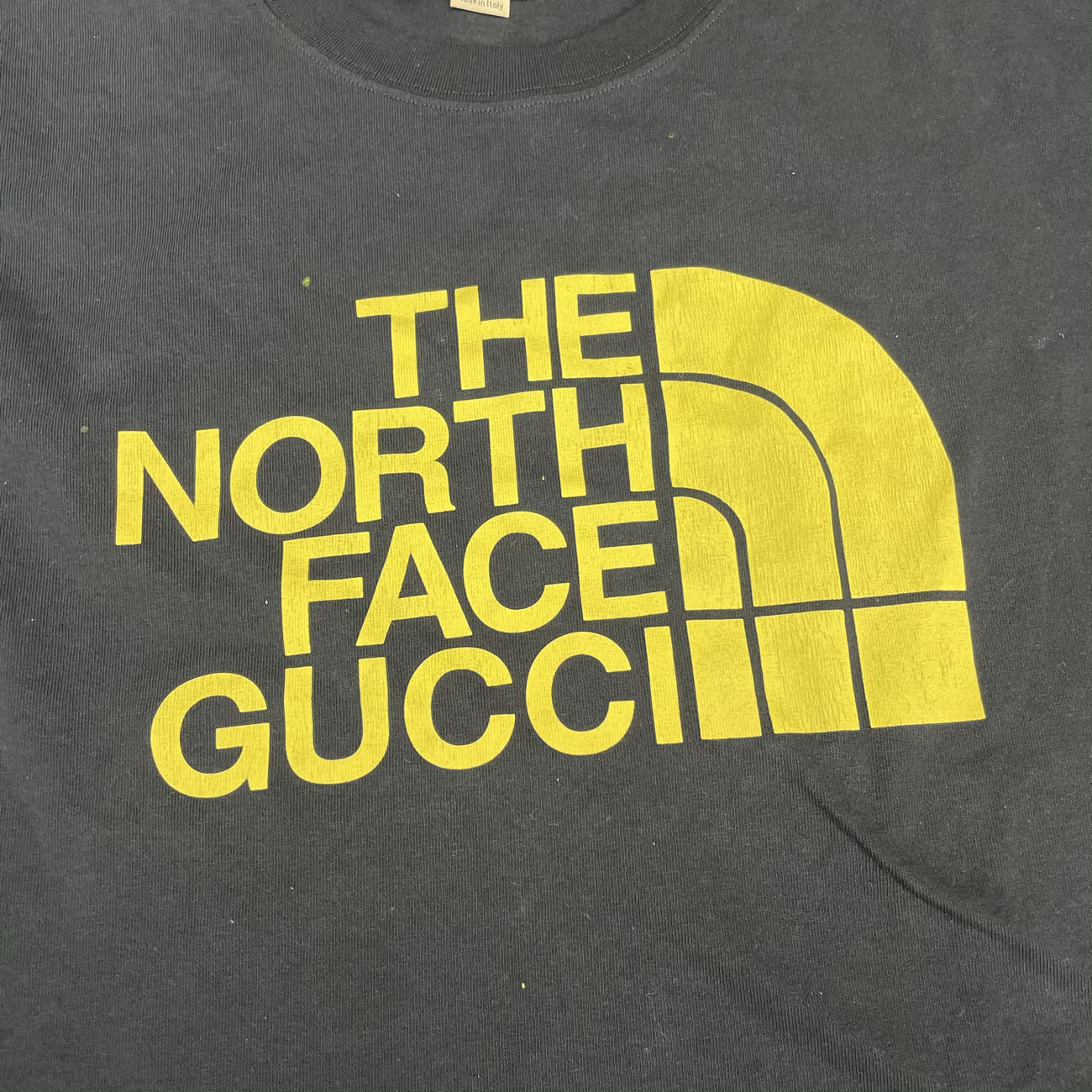 Thenorthfacegucci T Shirt (4) - www.newkick.vip