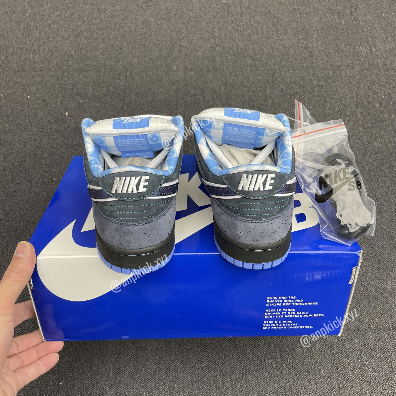 Anpkick Nike Sb Dunk Low Concepts Bluelobster 313170 342 (8) - www.newkick.vip