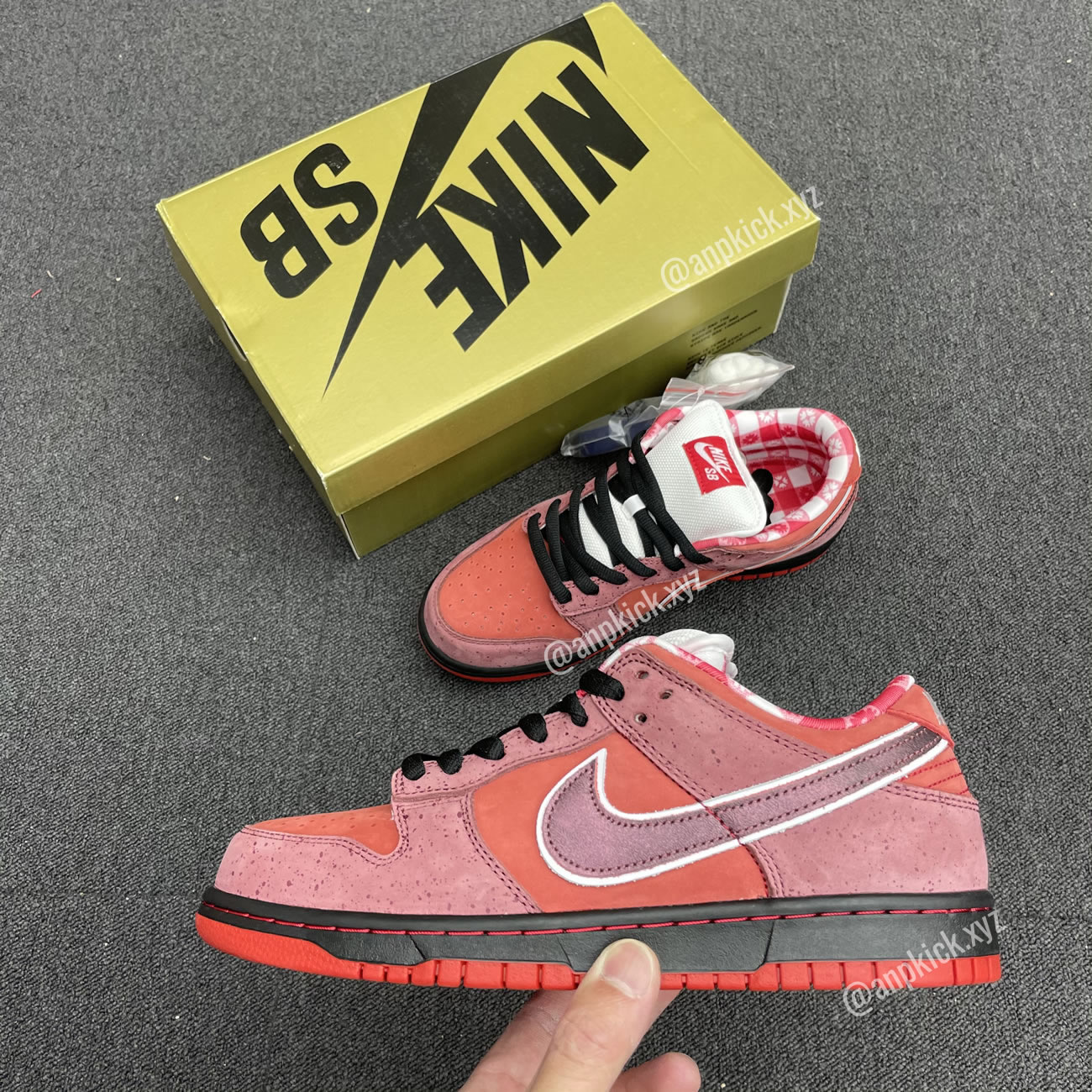 Anpkick Nike Sb Dunk Low Concepts Red Lobster 313170 661 (2) - www.newkick.vip Anpkick Nike Sb Dunk Low Concepts Red Lobster 313170 661 (2) - www.newkick.vip