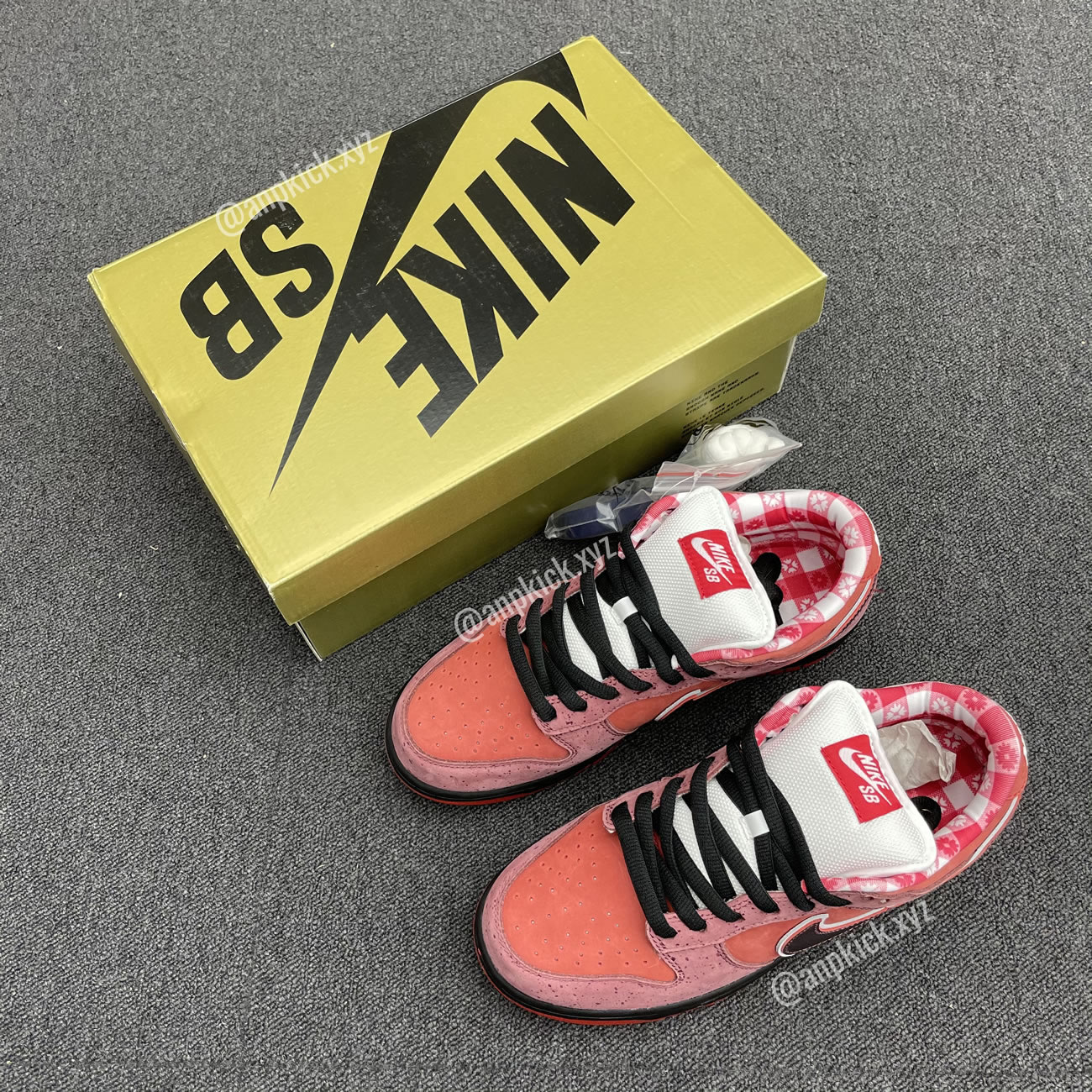 Anpkick Nike Sb Dunk Low Concepts Red Lobster 313170 661 (1) - www.newkick.vip