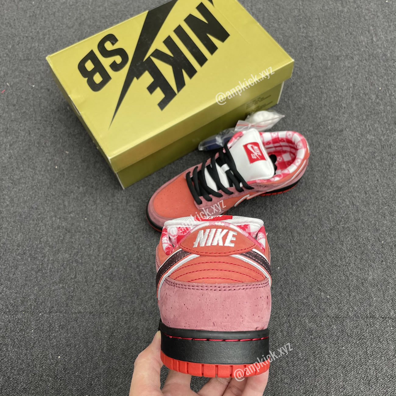 Anpkick Nike Sb Dunk Low Concepts Red Lobster 313170 661 (3) - www.newkick.vip