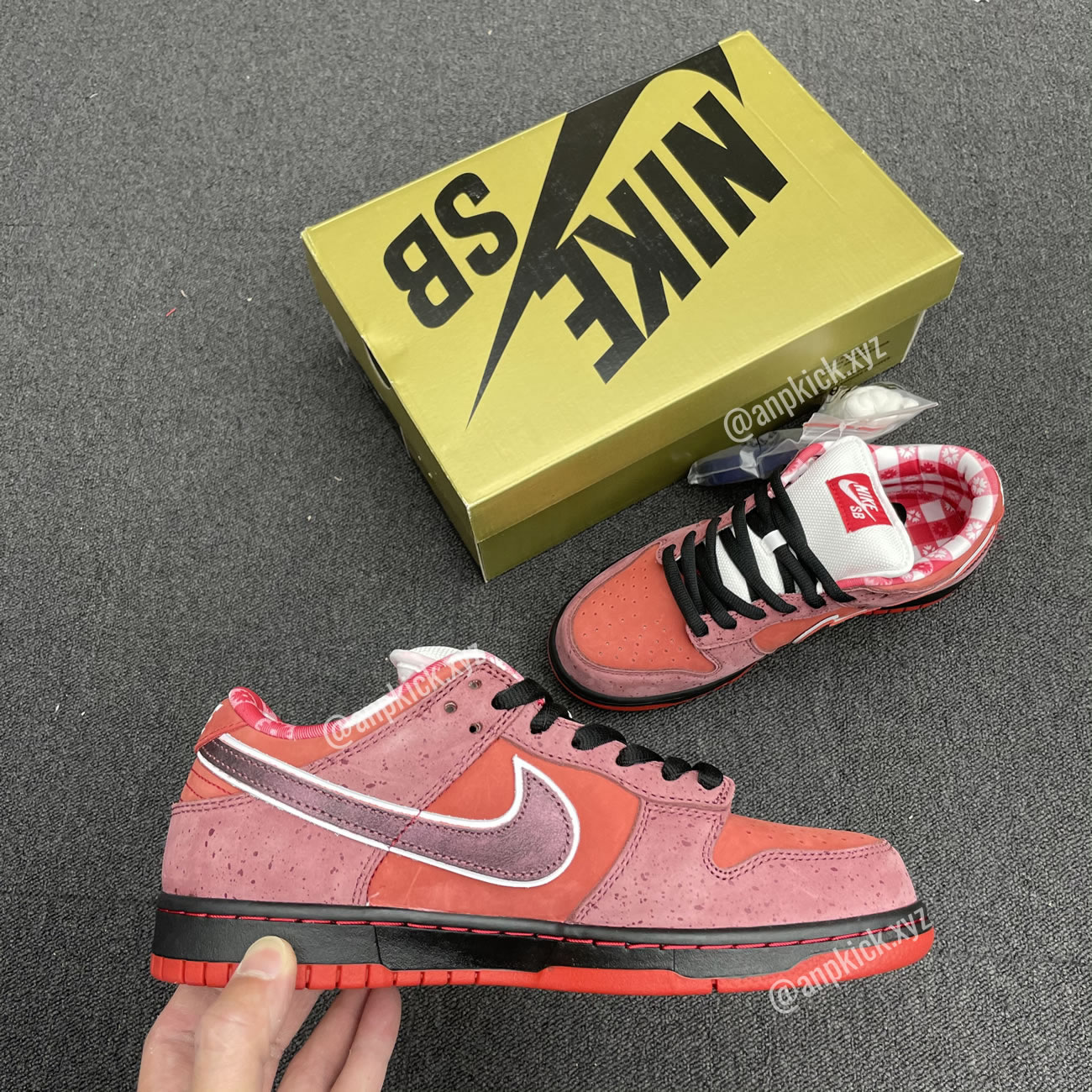 Anpkick Nike Sb Dunk Low Concepts Red Lobster 313170 661 (4) - www.newkick.vip