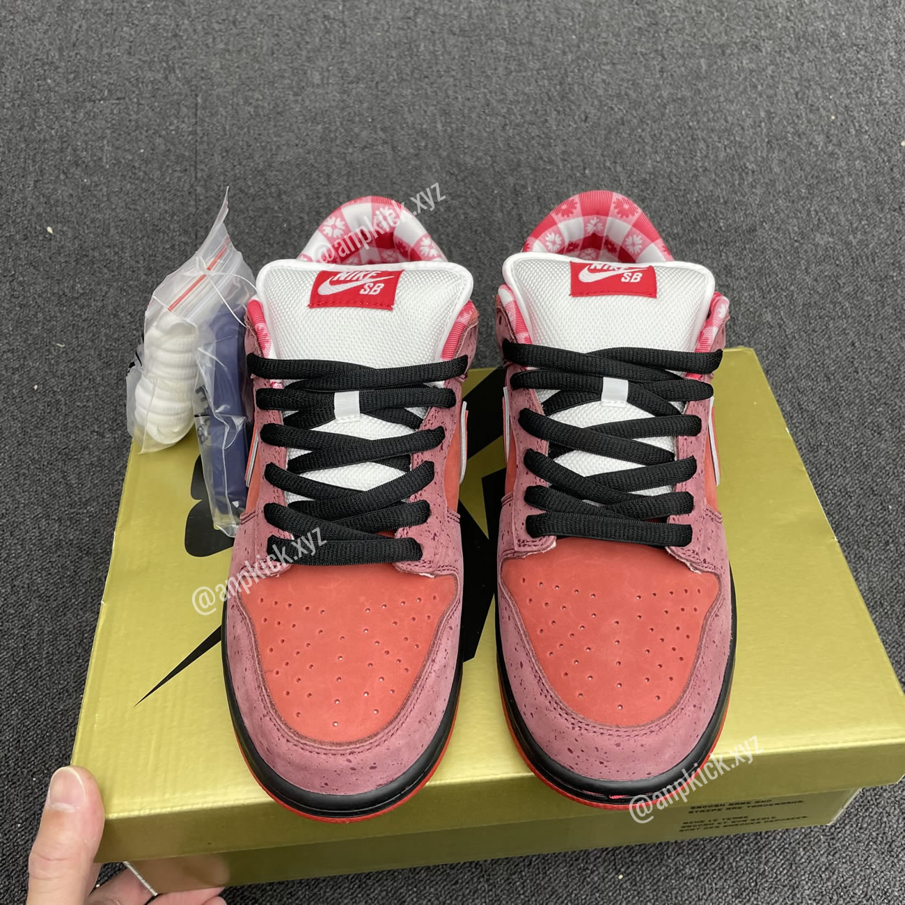 Anpkick Nike Sb Dunk Low Concepts Red Lobster 313170 661 (6) - www.newkick.vip