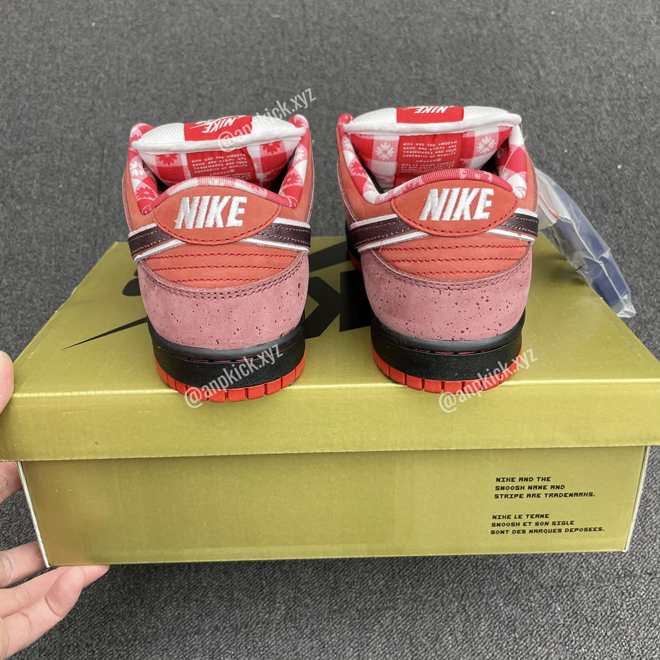 Anpkick Nike Sb Dunk Low Concepts Red Lobster 313170 661 (8) - www.newkick.vip