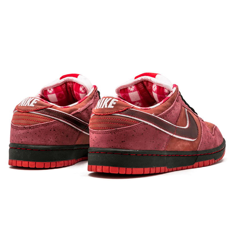 Nike Sb Dunk Low Concepts Red Lobster 313170 661 (3) - www.newkick.vip Nike Sb Dunk Low Concepts Red Lobster 313170 661 (3) - www.newkick.vip