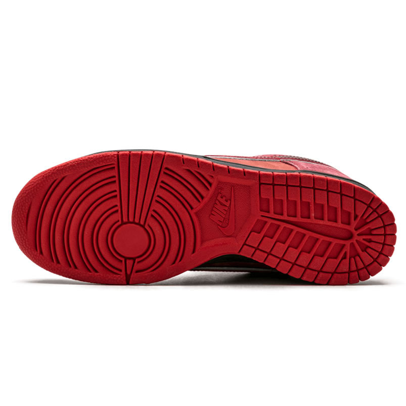 Nike Sb Dunk Low Concepts Red Lobster 313170 661 (4) - www.newkick.vip Nike Sb Dunk Low Concepts Red Lobster 313170 661 (4) - www.newkick.vip