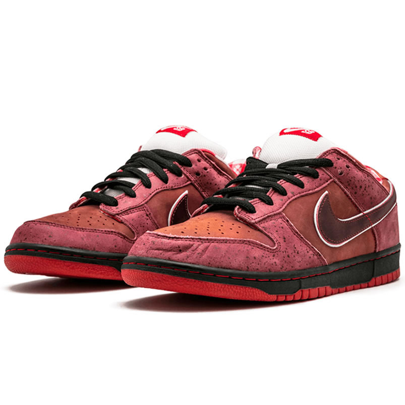 Nike Sb Dunk Low Concepts Red Lobster 313170 661 (2) - www.newkick.vip