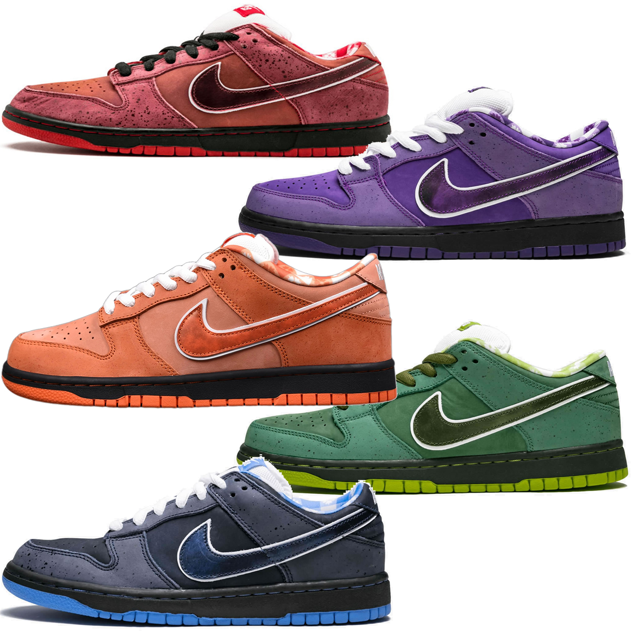 Nike Sb Dunk Low Concepts Red Lobster Fd8776 800 (60) - www.newkick.vip Nike Sb Dunk Low Concepts Red Lobster Fd8776 800 (60) - www.newkick.vip