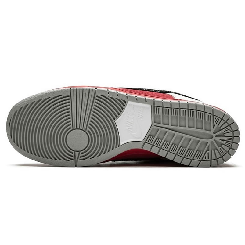 Nike Dunk Sb Low Roller Derby 313170 601 (5) - www.newkick.vip