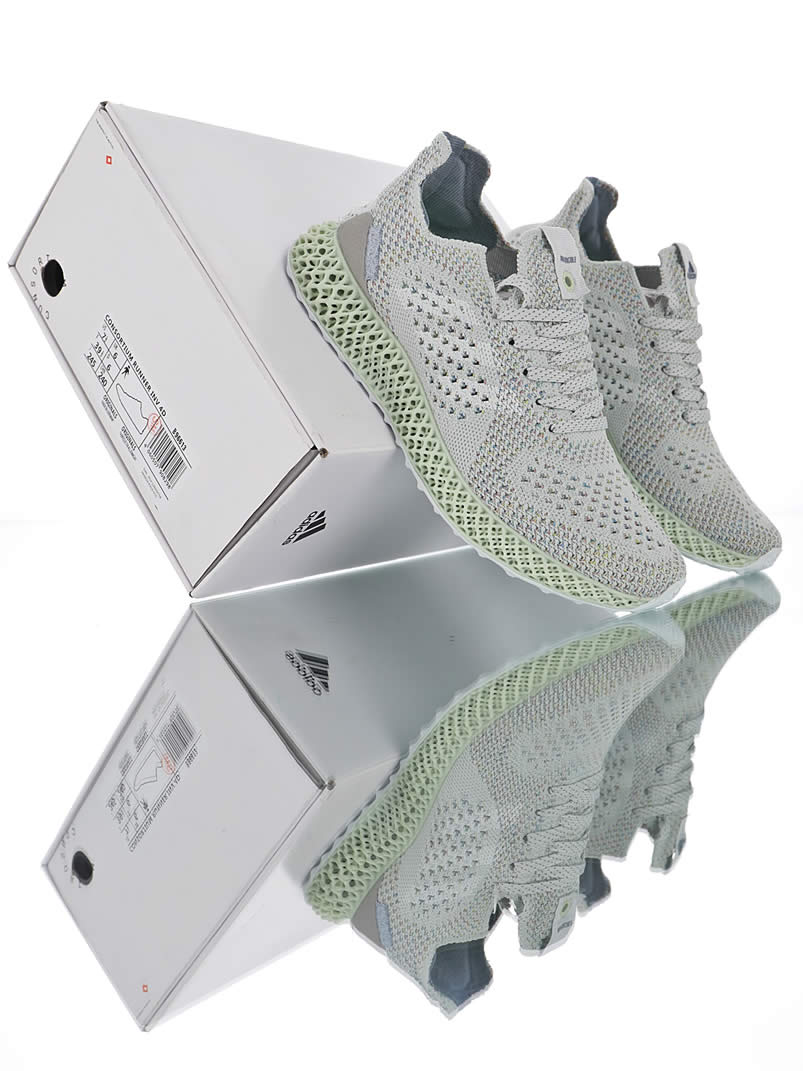 Adidas Consortium Futurecraft 4d Invincible Prism Primeknit Shoes B96613 (14) - www.newkick.vip