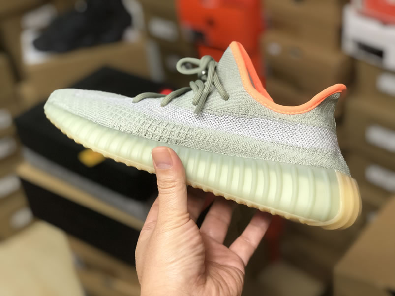 Adidas Yeezy Boost 350 V2 Desert Sage Anpkick Release Date Fx9035 (5) - www.newkick.vip Adidas Yeezy Boost 350 V2 Desert Sage Anpkick Release Date Fx9035 (5) - www.newkick.vip