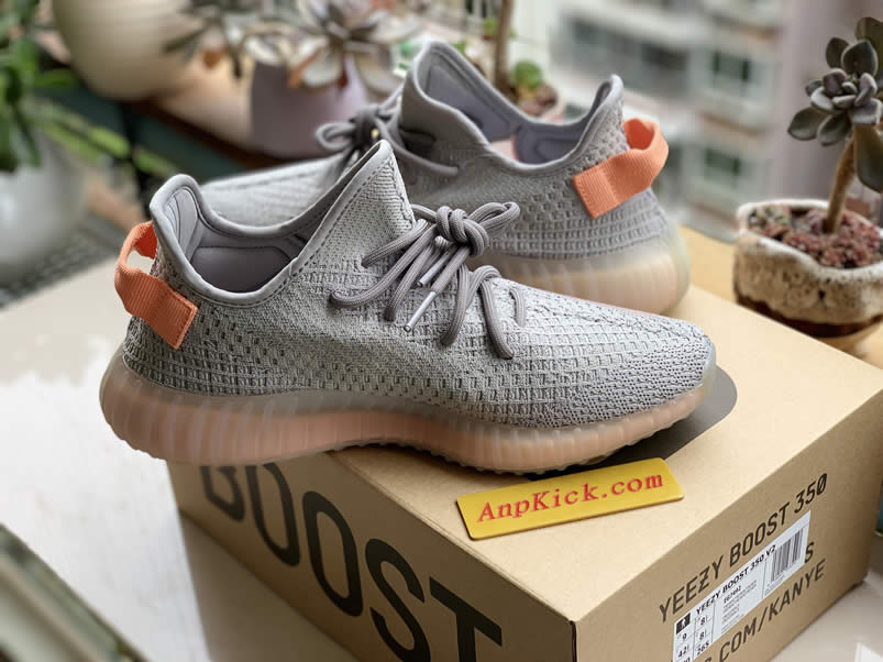 Adidas Yeezy Boost 350 V2 Trfrm Grey True Form Outfit Price Anpkick Eg7492 (9) - www.newkick.vip