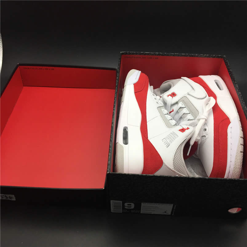 Air Jordan 3 Tinker Hatfield Sp University Red Anpkick Cj0939 100 (1) - www.newkick.vip