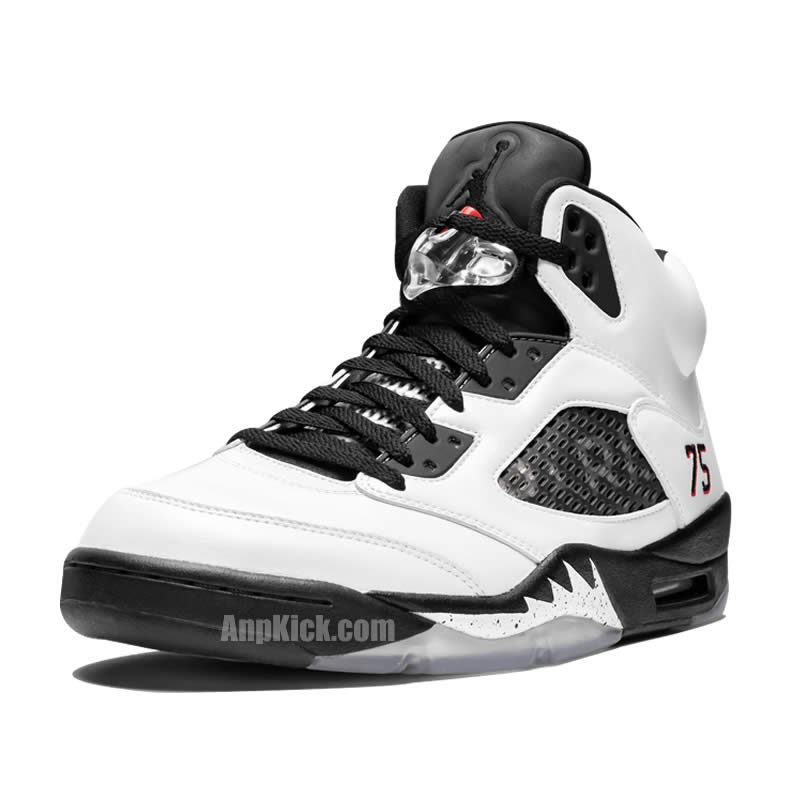 Air Jordan 5 Paris Saint Germain Friends Family Psg White Av9175 101 (2) - www.newkick.vip