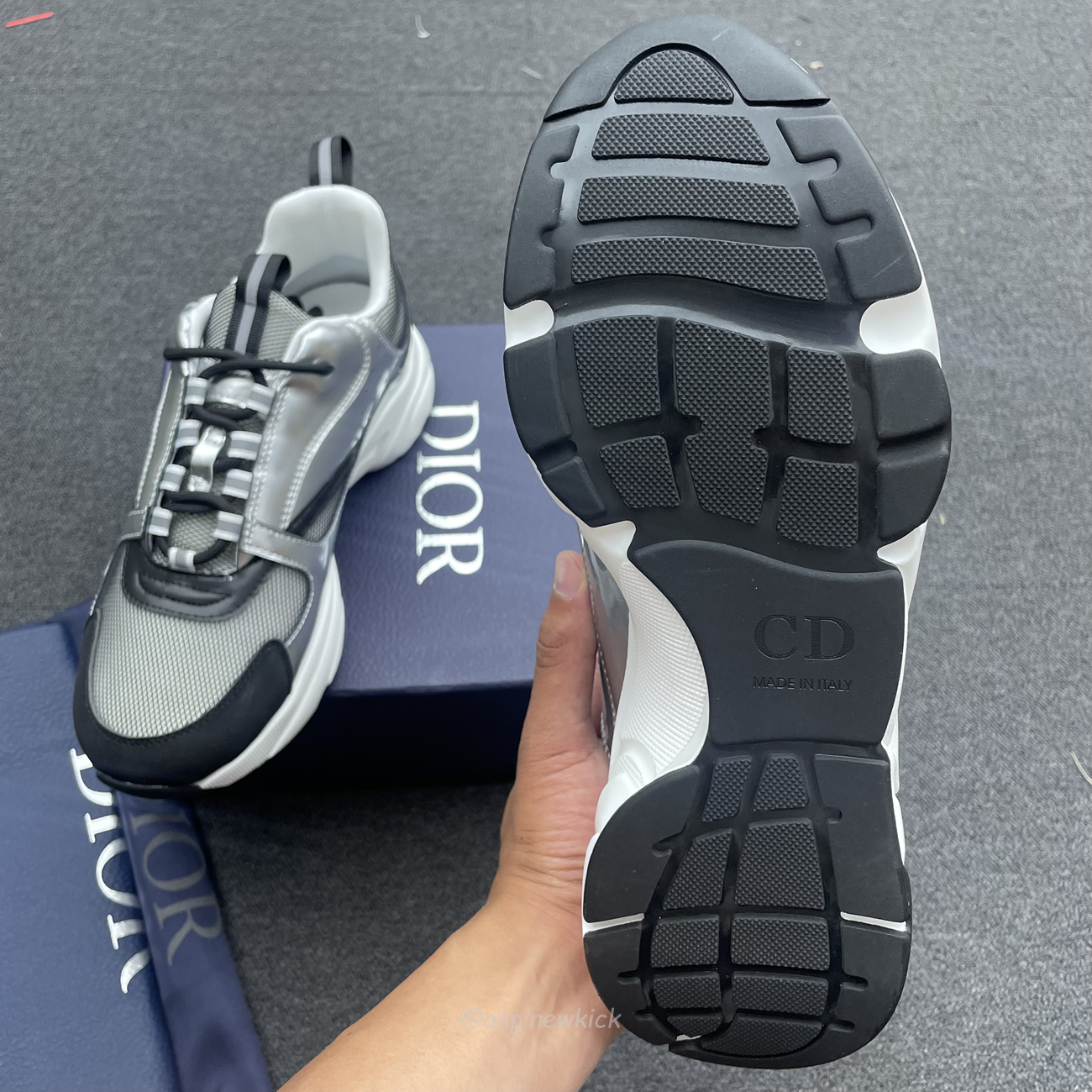 Dior B22 Silvery (8) - www.newkick.vip