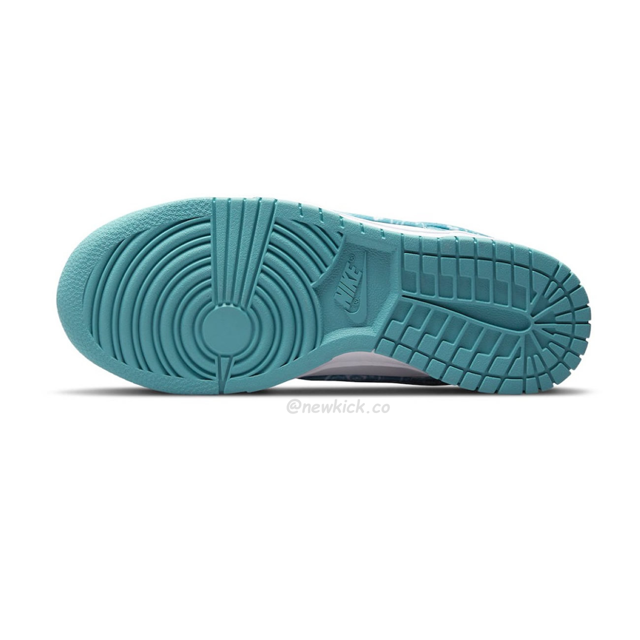 Nike Dunk Low Essental Paisley Pack Worn Blue Dh4401 101 (5) - www.newkick.vip