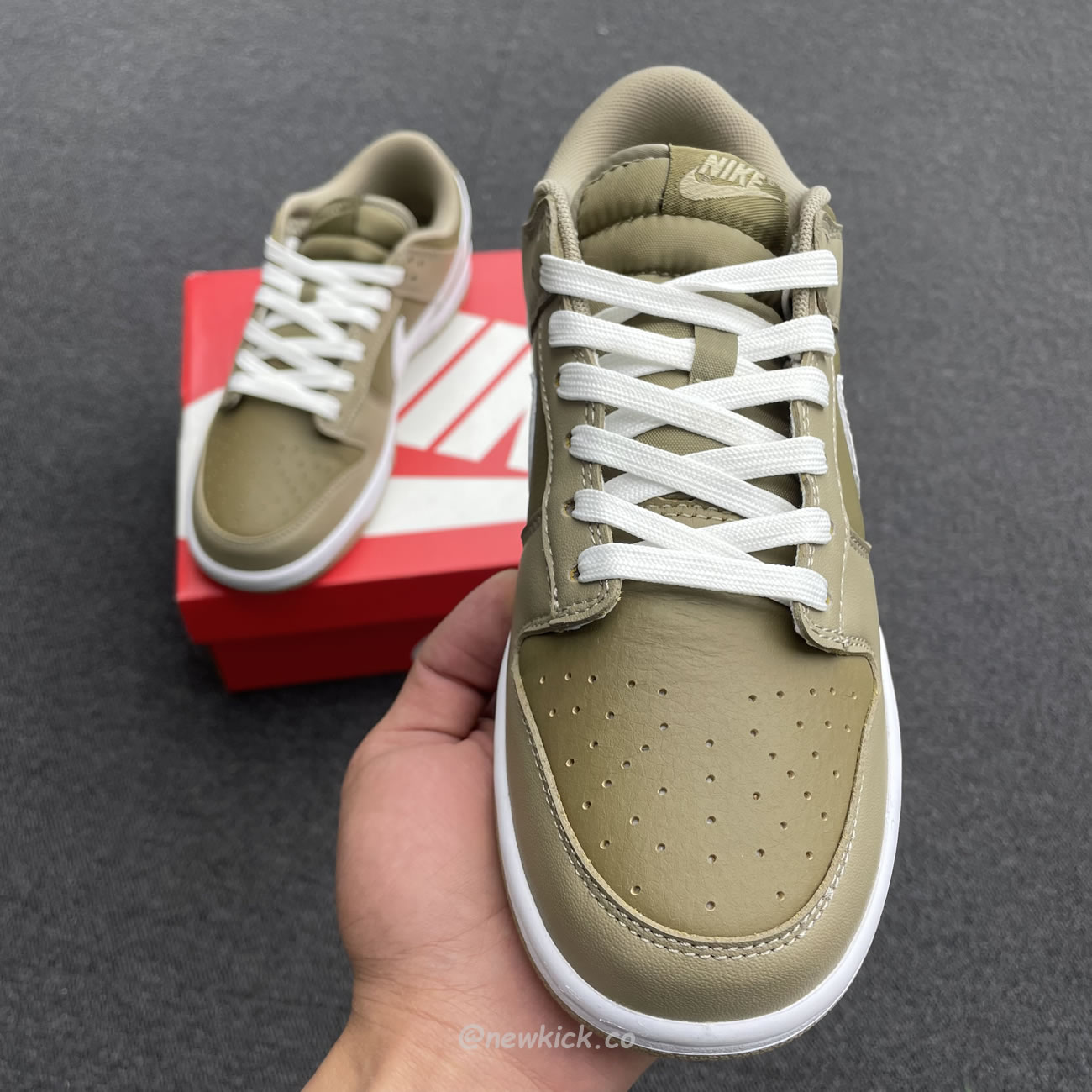 Nike Dunk Low Judge Grey Dj6188 200 (22) - www.newkick.vip