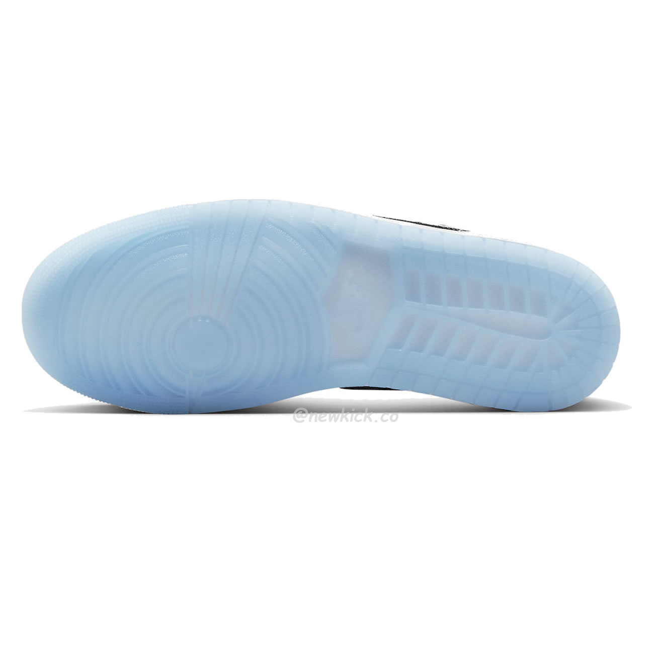 Air Jordan 1 Low Se Concord Dv1309 100 (5) - www.newkick.vip