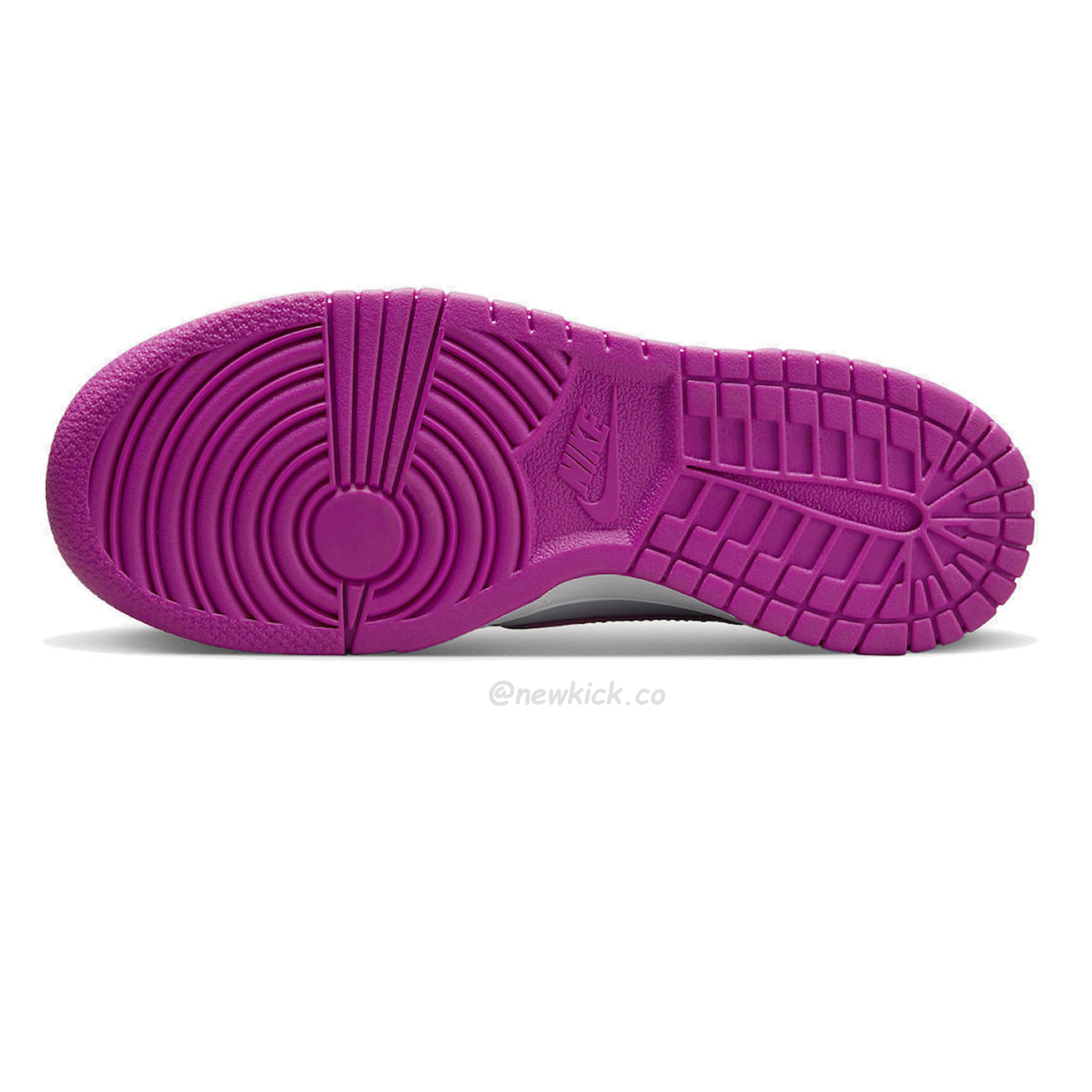 Nike Dunk Low Active Fuchsia Fj0704 100 (2) - www.newkick.vip