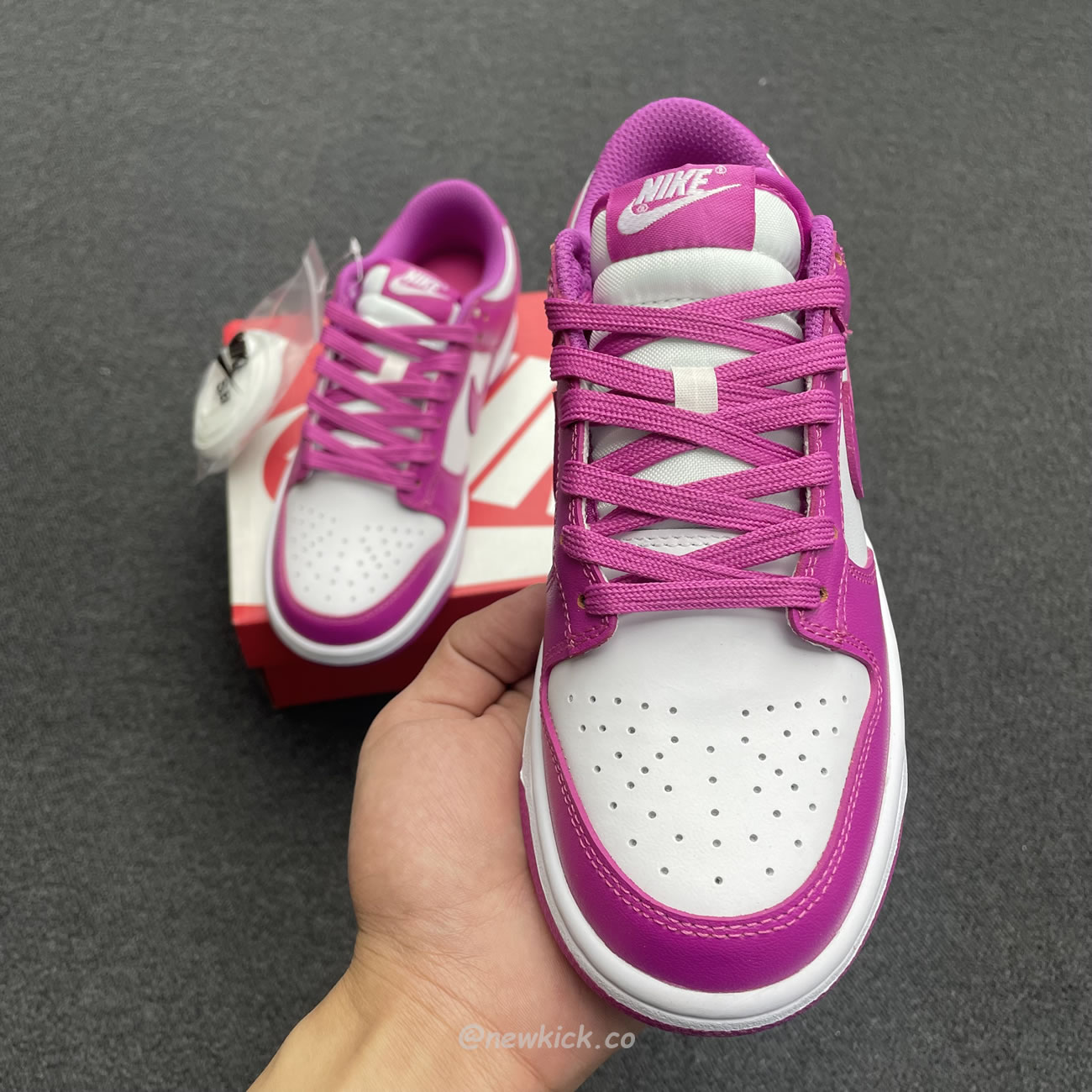 Nike Dunk Low Active Fuchsia Fj0704 100 (10) - www.newkick.vip