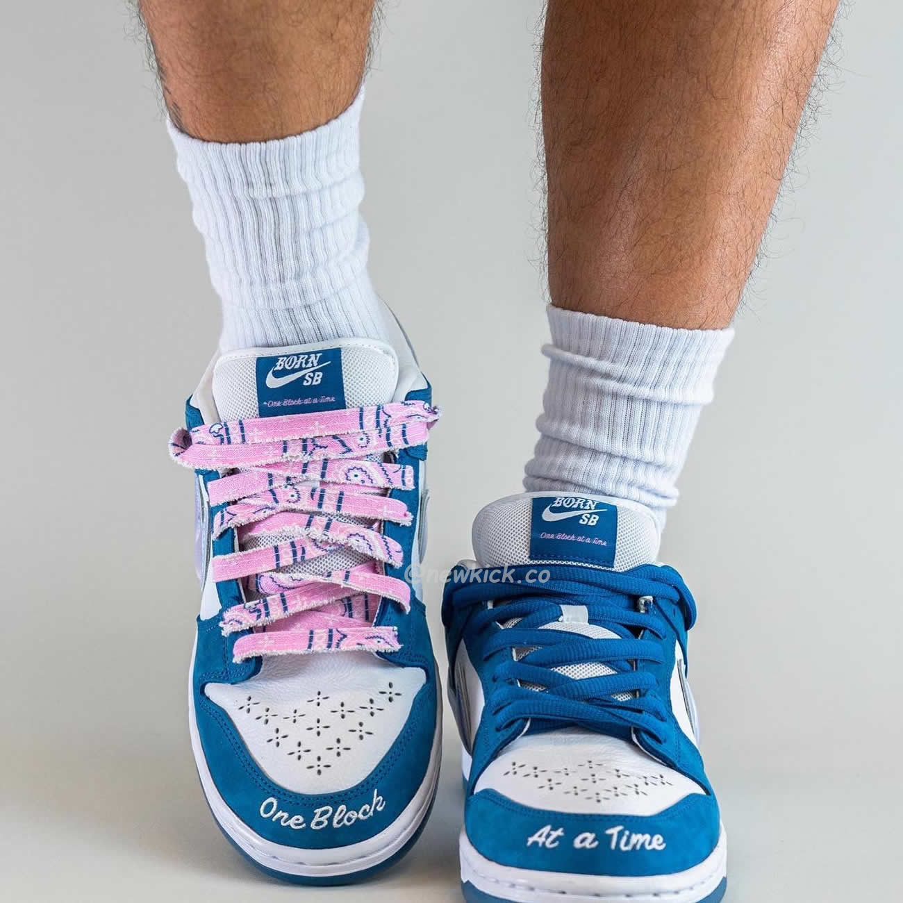 Nike Sb Dunk Low Born X Raised One Block At A Time Fn7819 400 (10) - www.newkick.vip