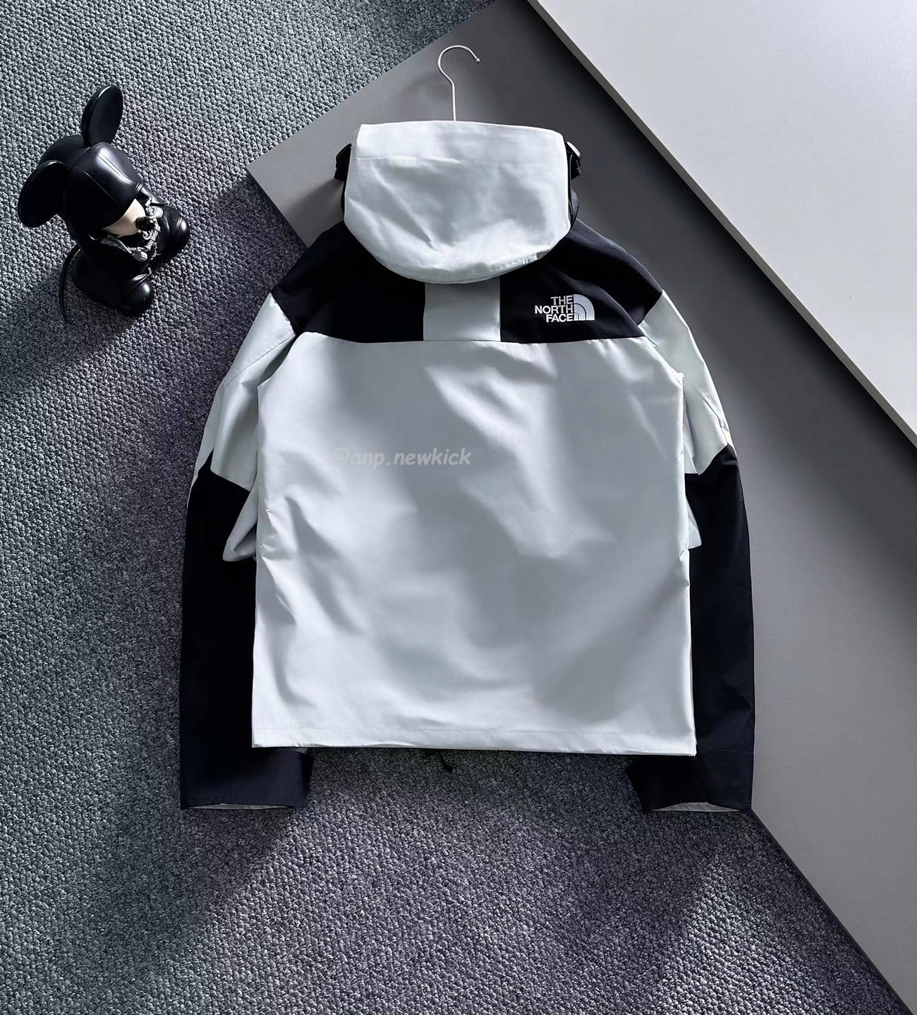 The North Face Retro 1986 Futurelight (15) - www.newkick.vip